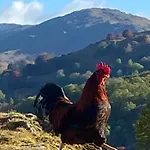 شقة Elterwater Park Self Catering *