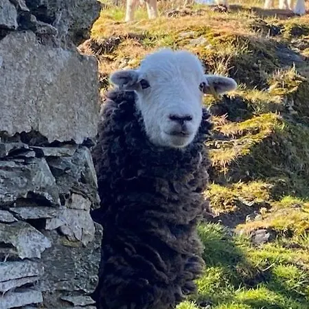 Elterwater Park Self Catering Barns Daire Ambleside