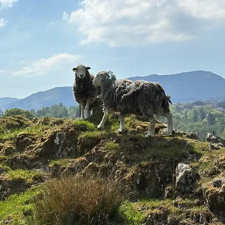 Elterwater Park Self Catering شقة